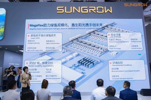 惠生工程与阳光氢能联合发布megaflex 工厂即产品 绿氢一站式解决方