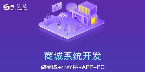 简析 b2b2c有哪些商城网站运营方案